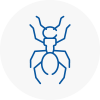 Ant Removals In St Albans