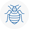 Bed Bug Extermination In St Albans