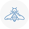 Bee Nest Removal St Albans