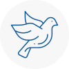 Bird Prevention St Albans