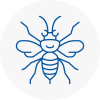 St Albans Hornet Nest Removals