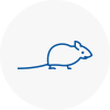 Mice Exterminators In St Albans