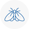 Moth Control Specialists In St Albans
