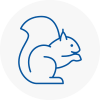 St Albans Rodent Removals